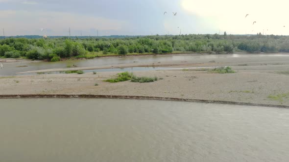 A Flock of Birds That Flies Over a Large River