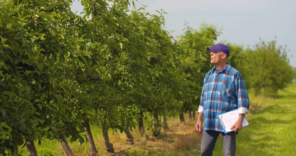 Male Researcher Looking at Trees While Writing on Clipboard