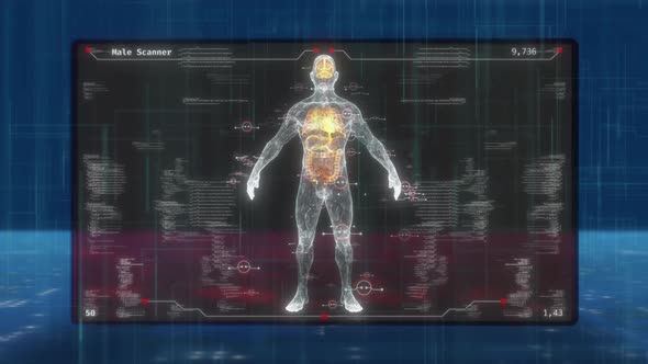 HUD UI Male Body Scanner alt