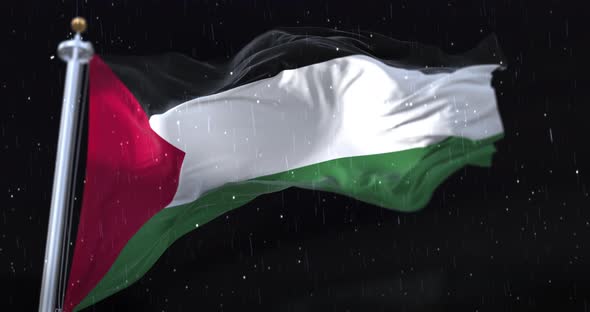 Flag of Palestine Waving