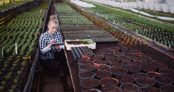 Female Botanist Using Digital Tablet at Grenhouse