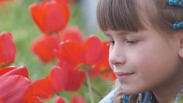 Happy Child Girl Playing in Summer Garden Enjoying Sweet Scent of Red Tulip Flowers on Sunny Day