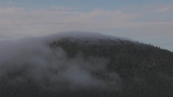 Clouds Scudding Over the Forest Canopy