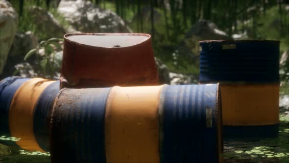 Rusty Barrels in Green Forest