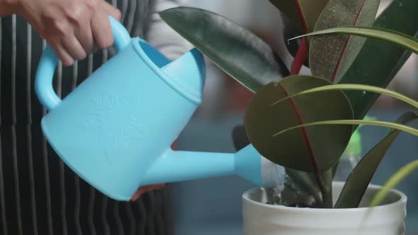 Close Up Of Woman's Hands Hold Watering Pot And Water The Plants At Home