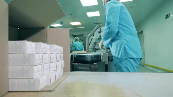 Pharmacologist Putting Medicines in a Box