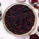 Sweet Delicious Homemade Forest Berry Tart - VideoHive Item for Sale