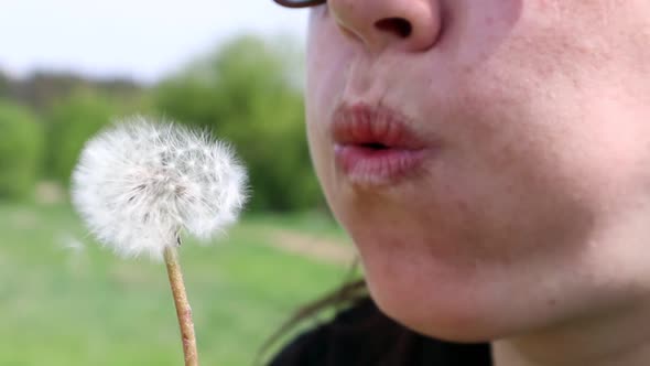 Portrait of a Beautiful Young Woman on a Summer Lawn Blowing on a Ripe Dandelion on a Sunny Day