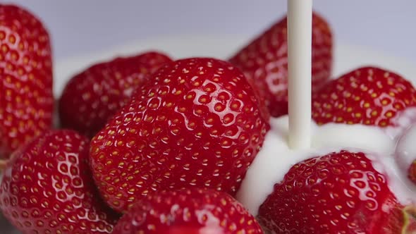 Pouring Cream or Yogurt Over Juicy Fresh Strawberries