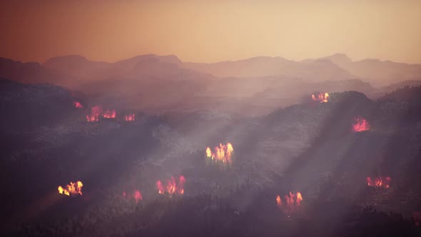 Wildfire Burns A High Mountain Forest Aerial View 02