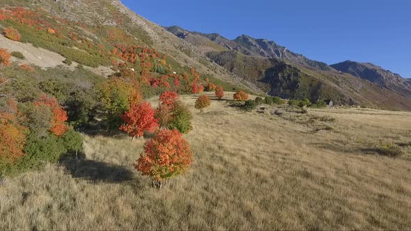 A drone captures aerial footage of an alpine meadow in the fall as tree leaves change color into bri