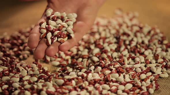 Seller showing dry beans to camera, demonstrating high quality product on market