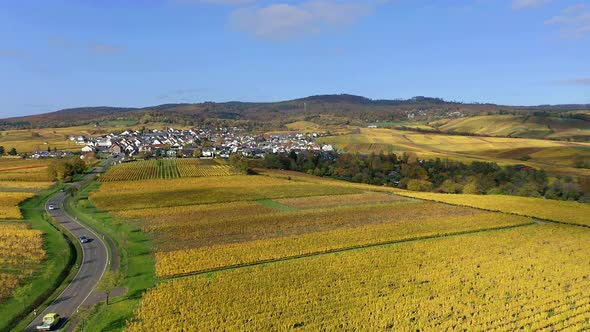 Germany, Hesse, Rheingau, Hallgarten among vinyards