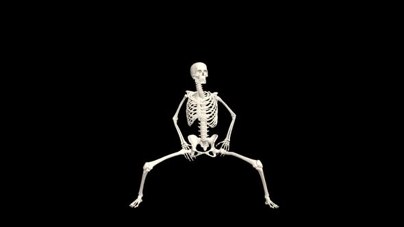 Skeleton 3D Dance.