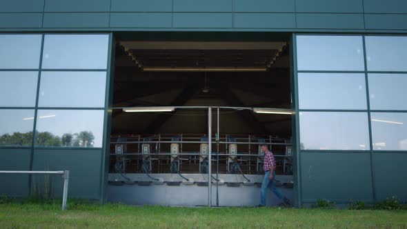 Livestock Worker Going Milking Facility at Countryside