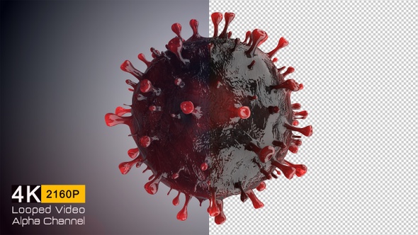 Coronavirus 201