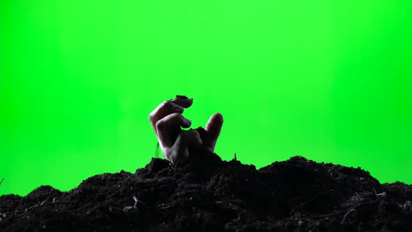 Zombie Woman Hand Emerging From the Ground Grave. Halloween Concept. Green Screen. 004