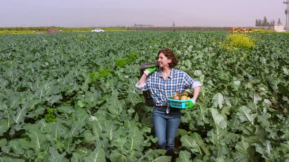 Woman Working in an Agricultural Field