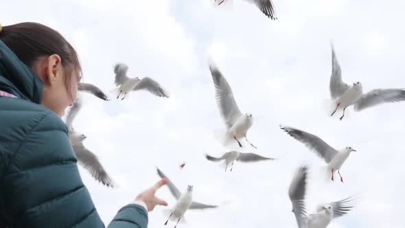 Young Woman Feeds Seagulls Rear View