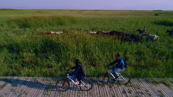 Man and Woman in Traveling by Bikes